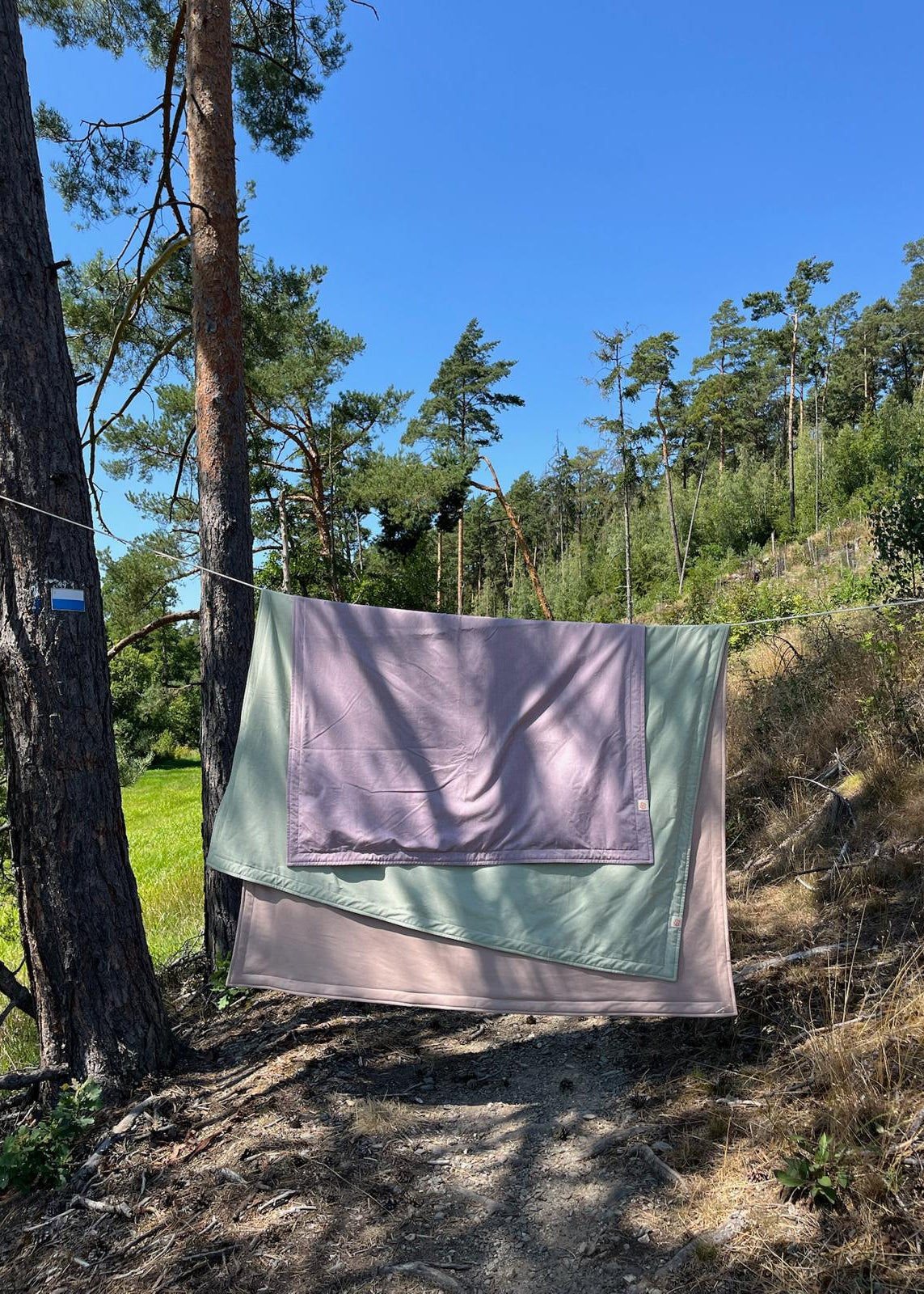 PUR Sommerdecke