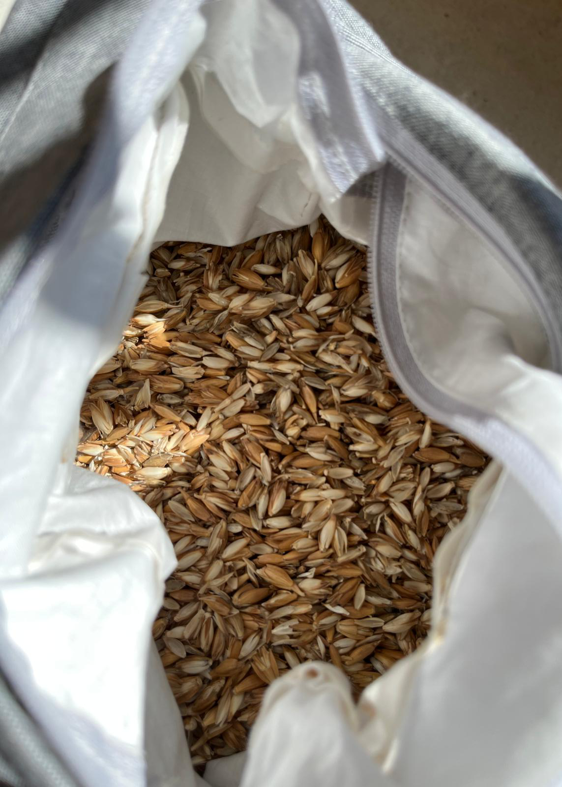 Yogabolster gefüllt mit Bio-Dinkelspelz